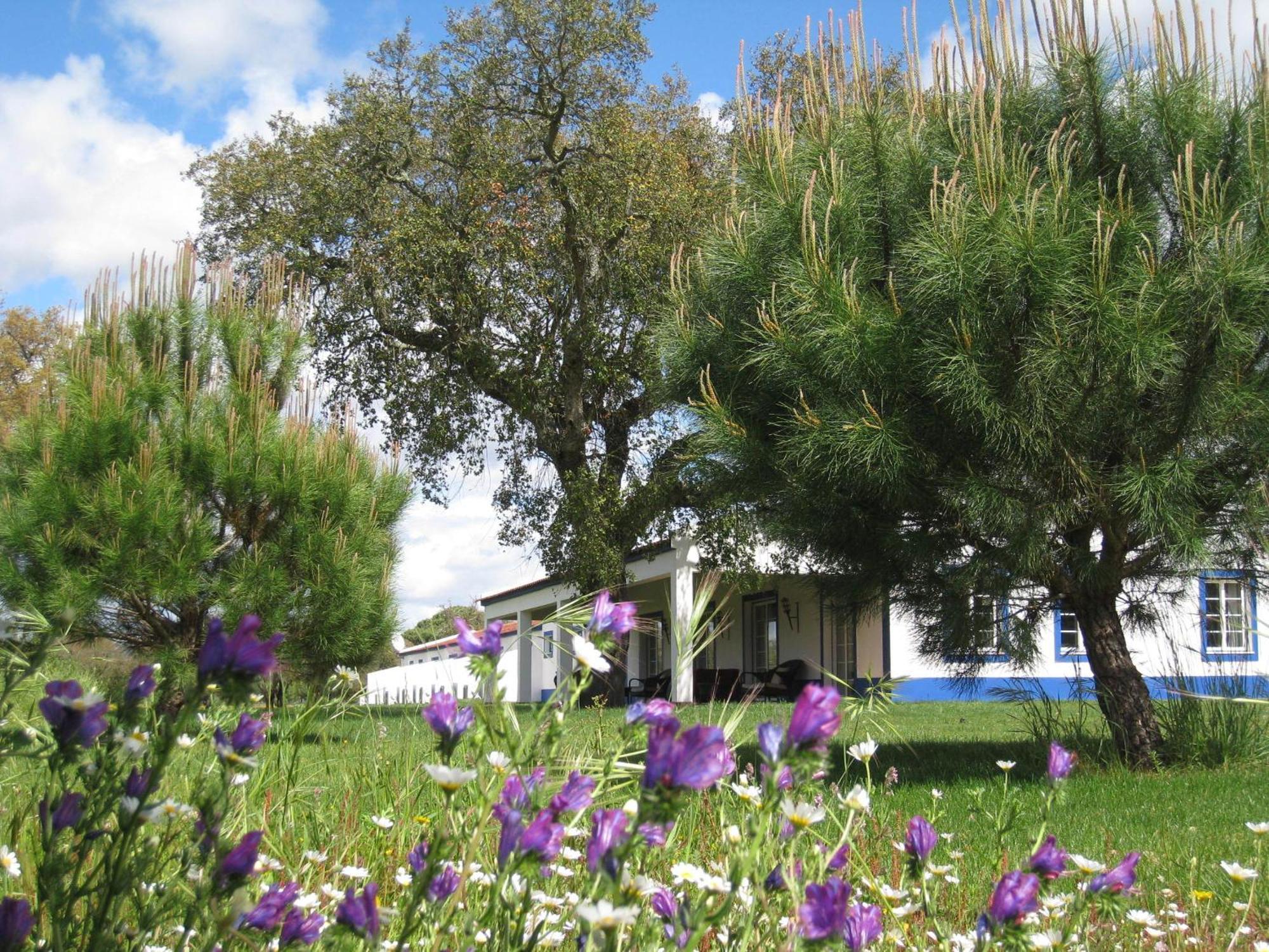 Monte Das Faias Cork Farm Hotel Grândola Εξωτερικό φωτογραφία